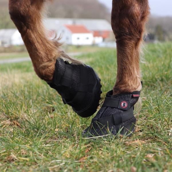 Equine Fusion Recovery Shoe